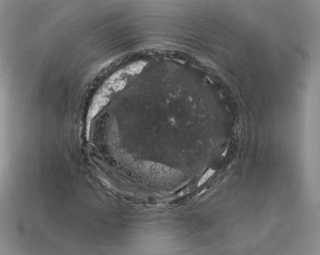 X0000113580822200910161538