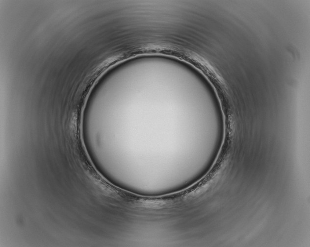 X0000113580825200910161538