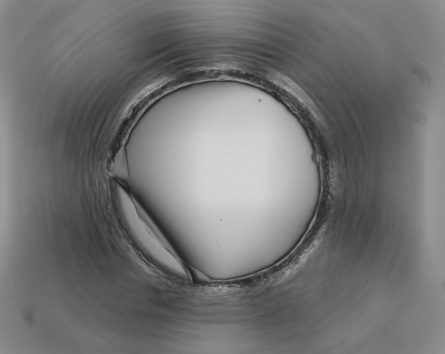 X0000113580826200910161538