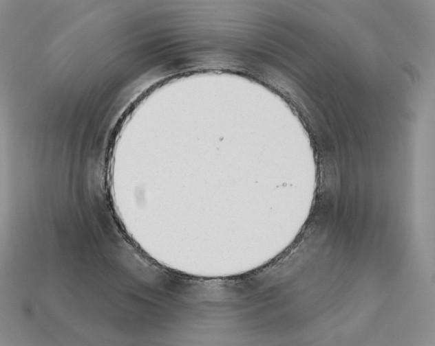 X0000113580828200910161538