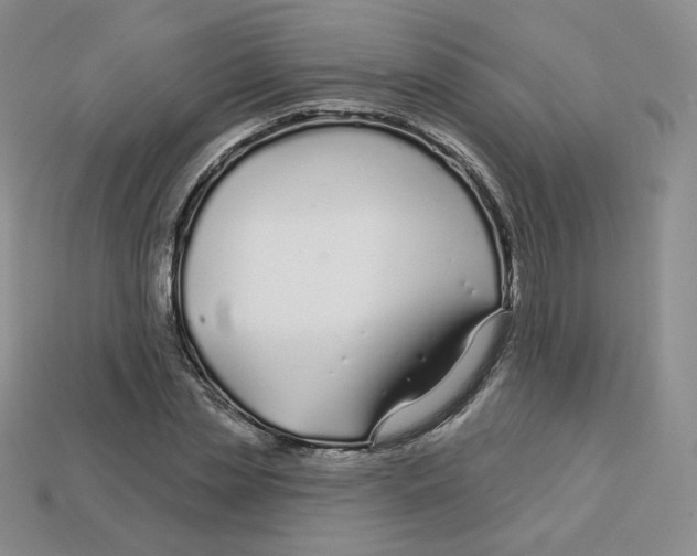 X0000113580829200910161538