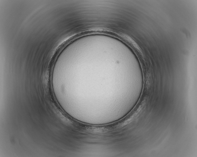 X0000113580831200910161538