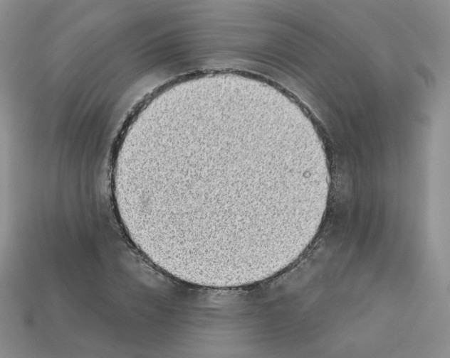 X0000113580832200910161538