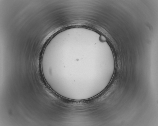 X0000113580834200910161538