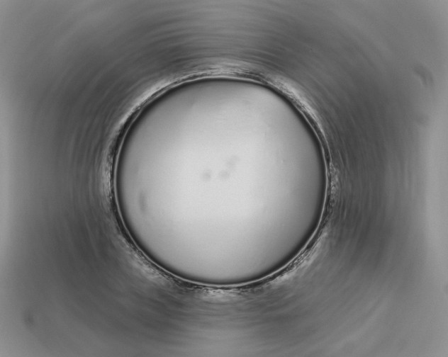 X0000113580835200910161538