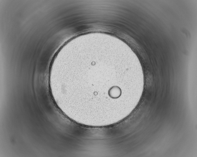 X0000113580836200910161538