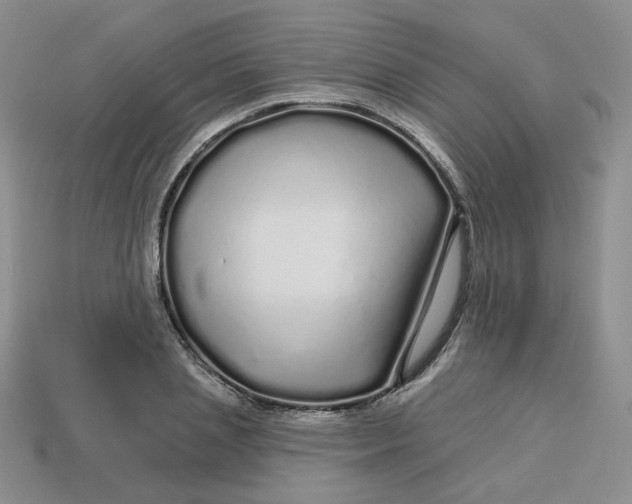 X0000113580837200910161538