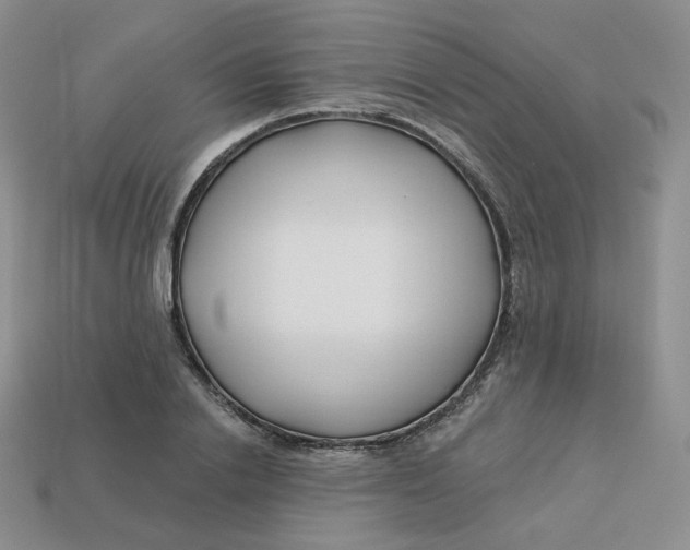 X0000113580838200910161538