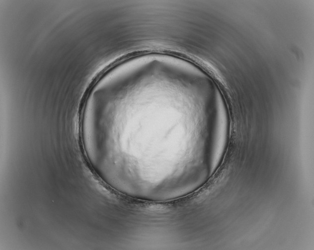 X0000113580839200910161538