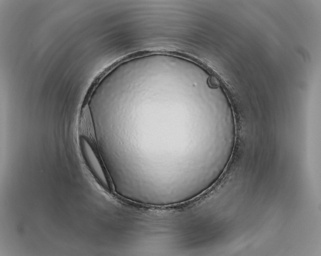 X0000113580840200910161538