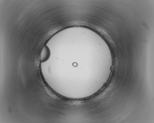 X0000113580841200910161538