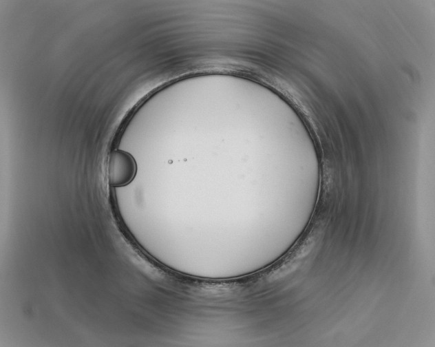 X0000113580843200910161538