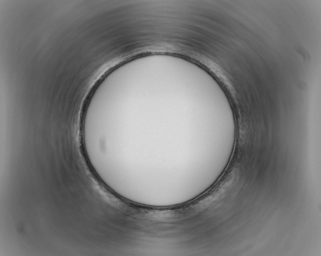 X0000113580845200910161538