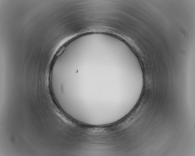 X0000113580846200910161538