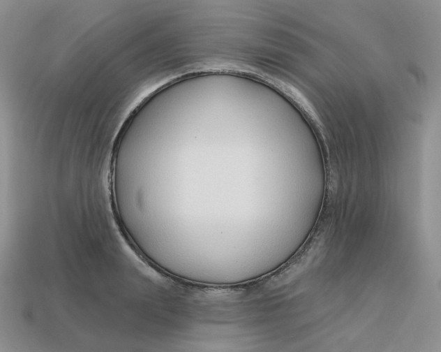 X0000113580847200910161538