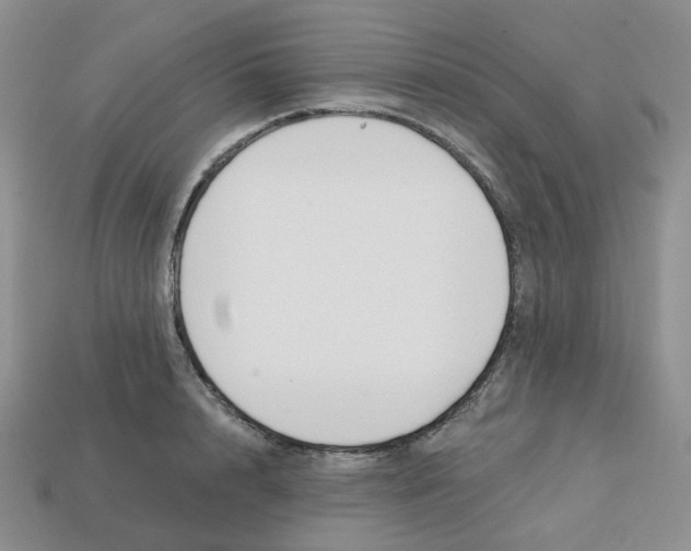 X0000113580848200910161538