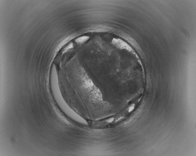 X0000113580850200910161538