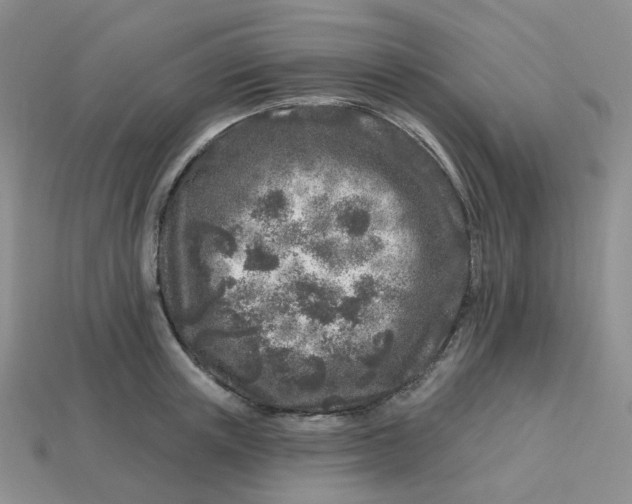 X0000113580851200910161538