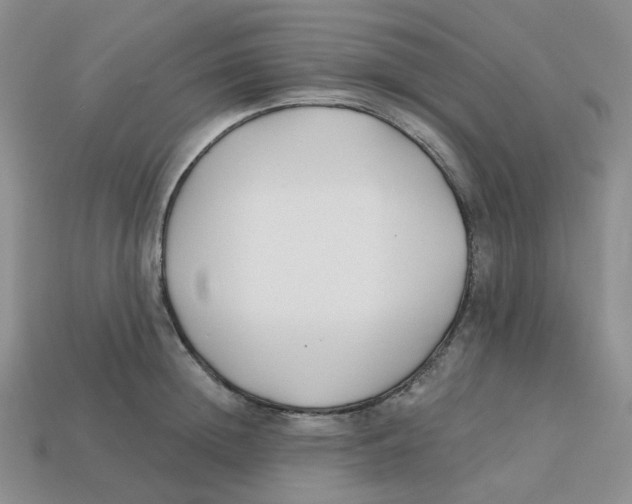 X0000113580852200910161538