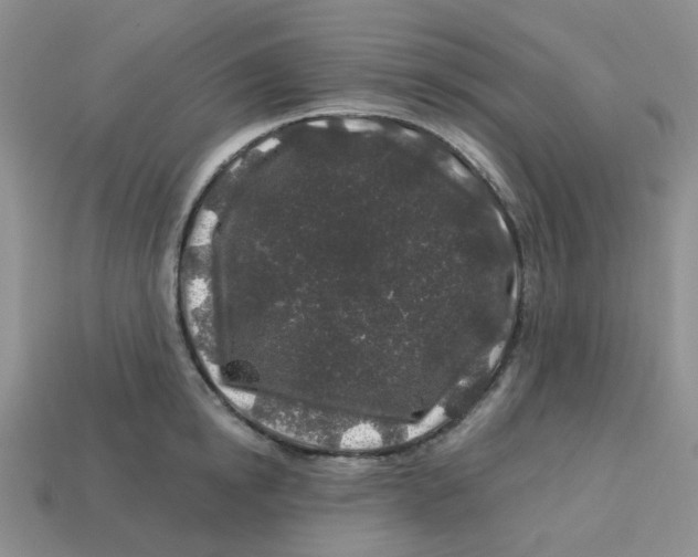 X0000113580854200910161538