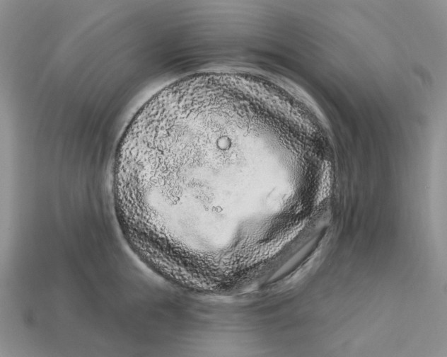 X0000113580855200910161538