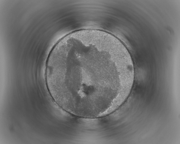 X0000113580856200910161538