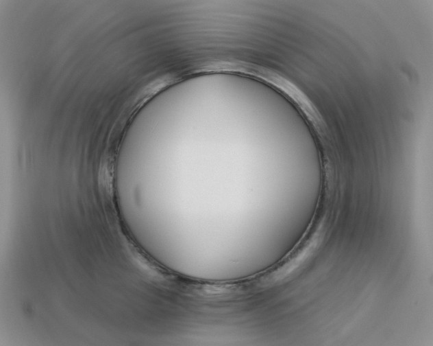 X0000113580857200910161538