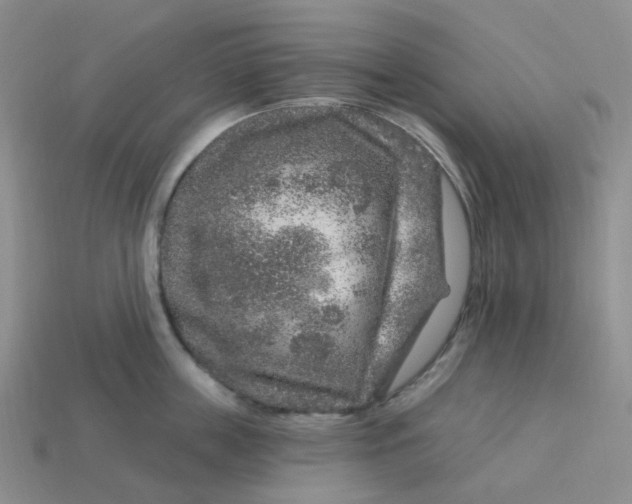 X0000113580859200910161538