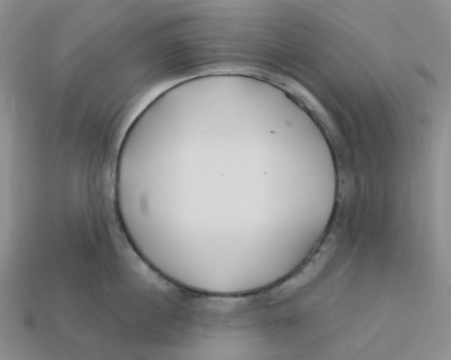 X0000113580860200910161538