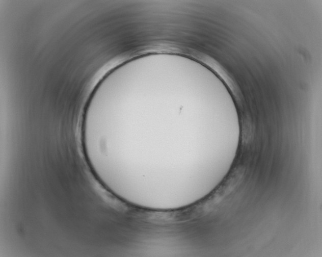 X0000113580861200910161538