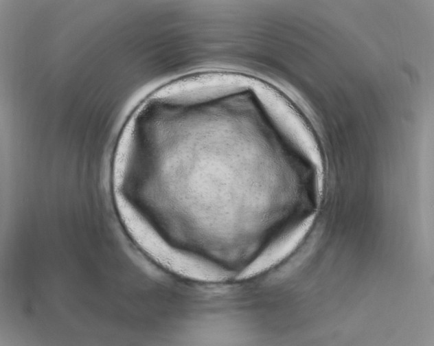 X0000113580862200910161538