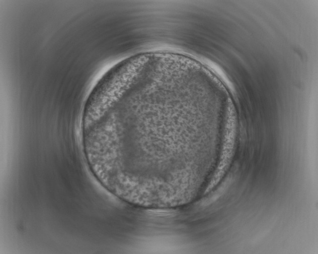 X0000113580863200910161538