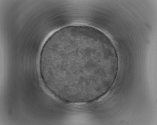 X0000113580864200910161538