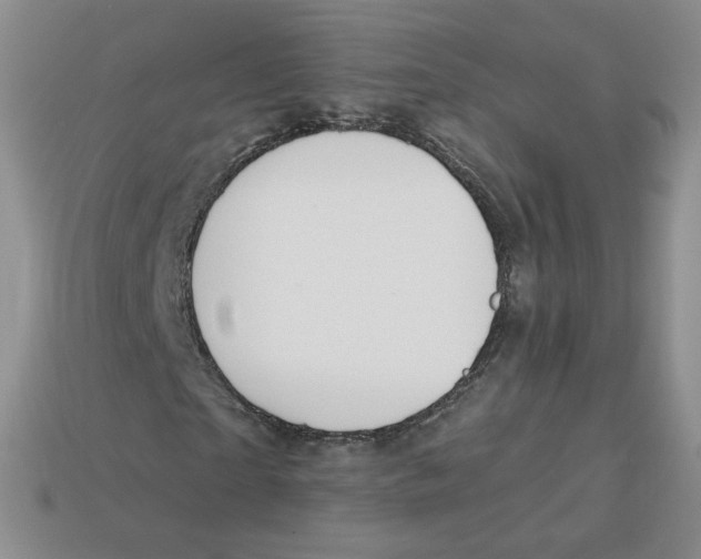 X0000113580865200910161538