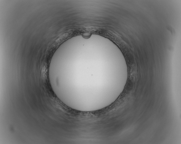 X0000113580866200910161538