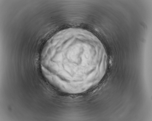 X0000113580867200910161538