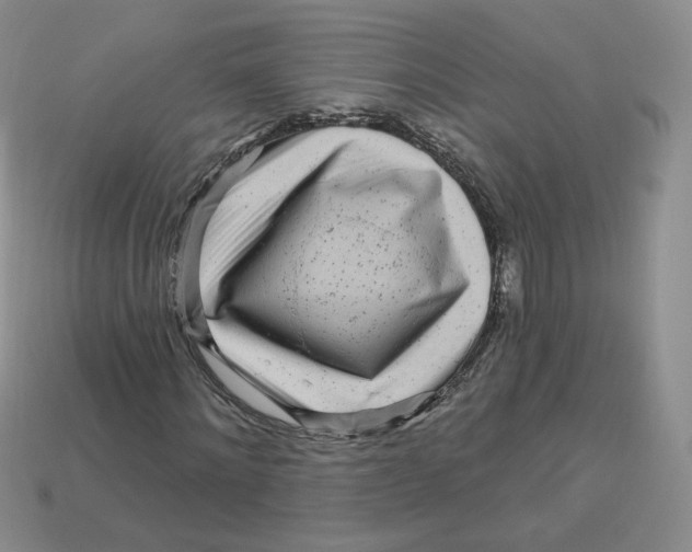 X0000113580868200910161538