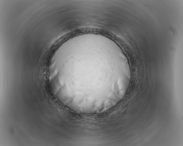 X0000113580870200910161538