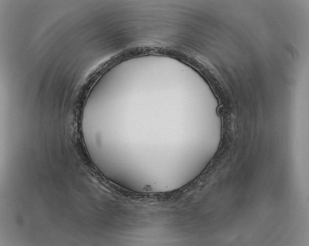 X0000113580872200910161538