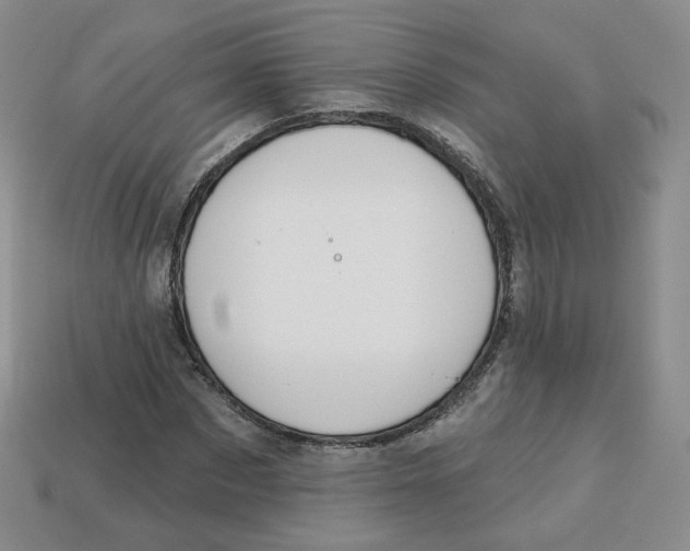 X0000113580873200910161538