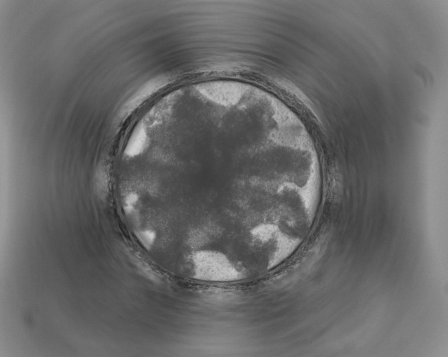 X0000113580874200910161538