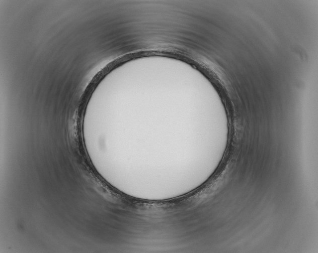 X0000113580875200910161538