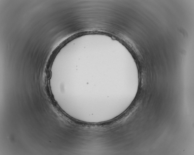 X0000113580876200910161538