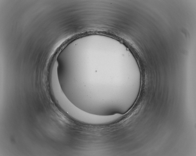 X0000113580878200910161538