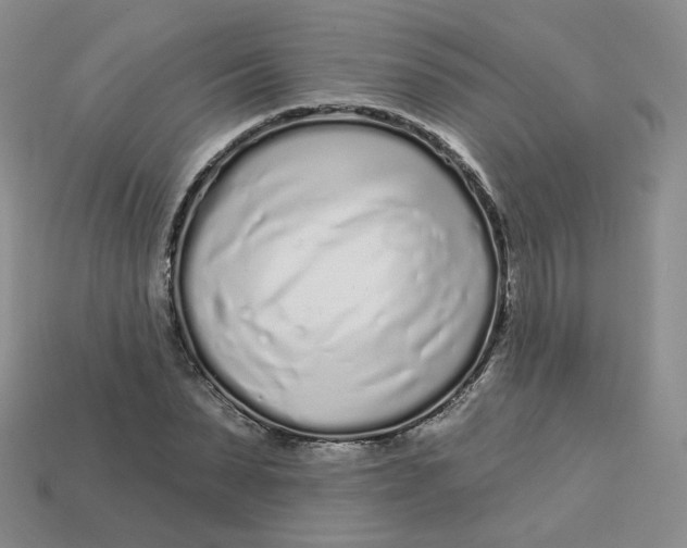 X0000113580879200910161538