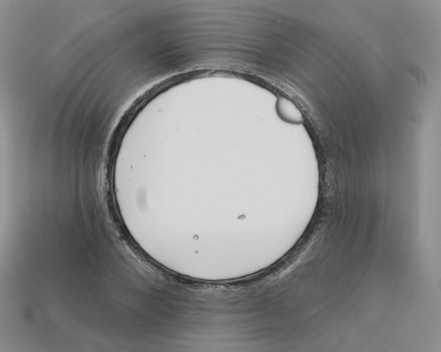 X0000113580880200910161538