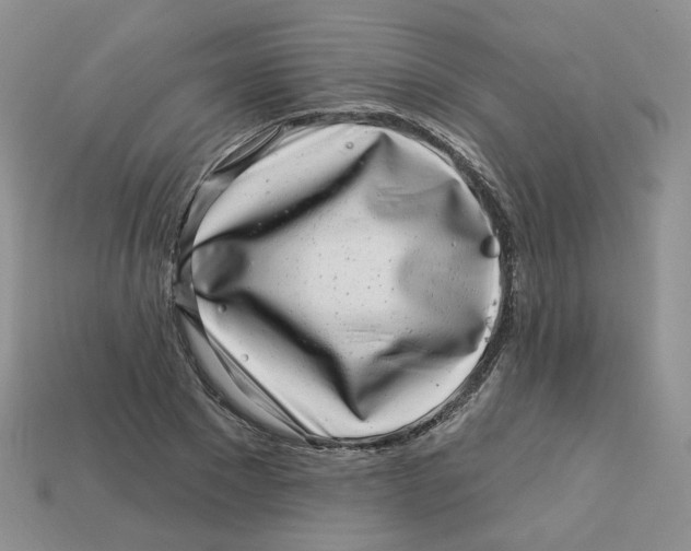 X0000113580881200910161538