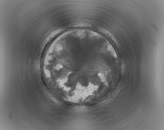 X0000113580882200910161538