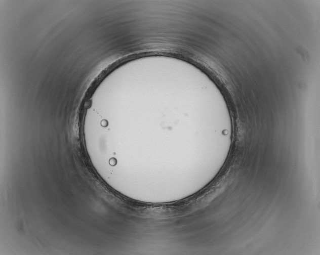 X0000113580883200910161538