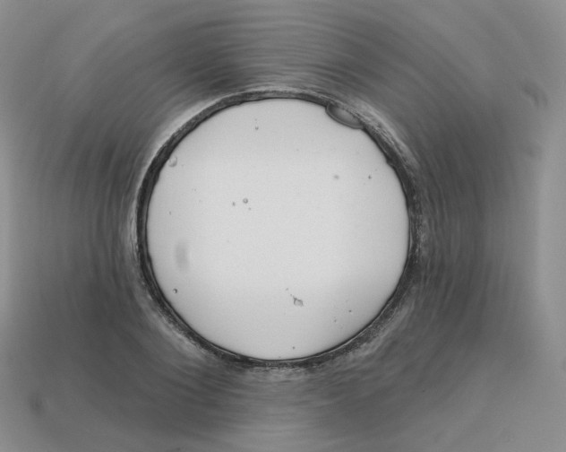 X0000113580884200910161538